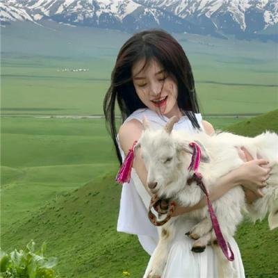 幸福的白天鹅